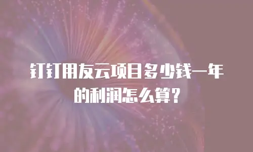 钉钉用友云项目多少钱一年的利润怎么算？
