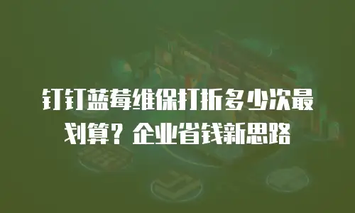 钉钉蓝莓维保打折多少次最划算？企业省钱新思路