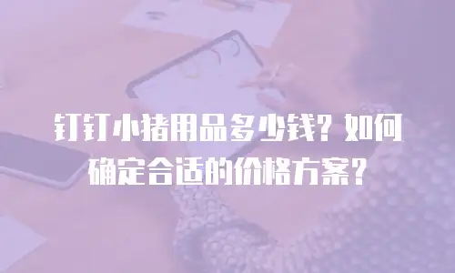 钉钉小猪用品多少钱？如何确定合适的价格方案？