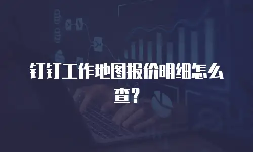 钉钉工作地图报价明细怎么查？