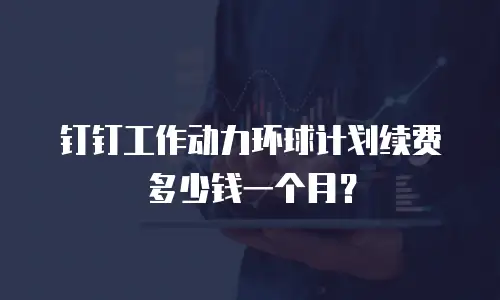 钉钉工作动力环球计划续费多少钱一个月？