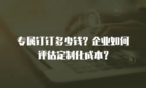 专属钉钉多少钱？企业如何评估定制化成本？