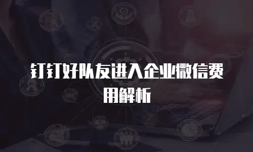 钉钉好队友进入企业微信费用解析