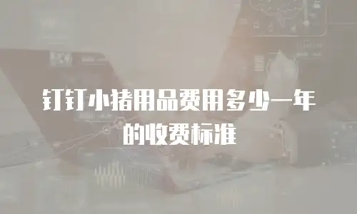 钉钉小猪用品费用多少一年的收费标准