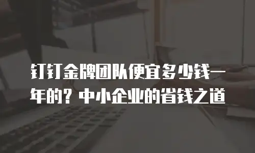 钉钉金牌团队便宜多少钱一年的？中小企业的省钱之道
