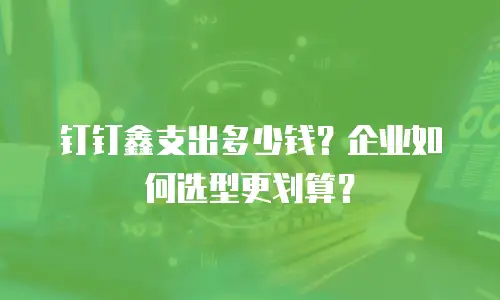 钉钉鑫支出多少钱？企业如何选型更划算？