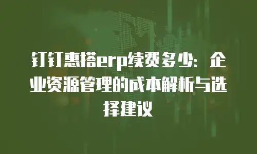 钉钉惠搭erp续费多少：企业资源管理的成本解析与选择建议