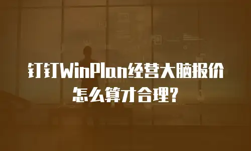 钉钉WinPlan经营大脑报价怎么算才合理？