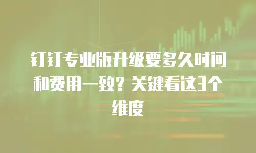 钉钉专业版升级要多久时间和费用一致？关键看这3个维度