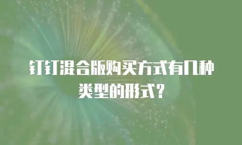 钉钉混合版购买方式有几种类型的形式？