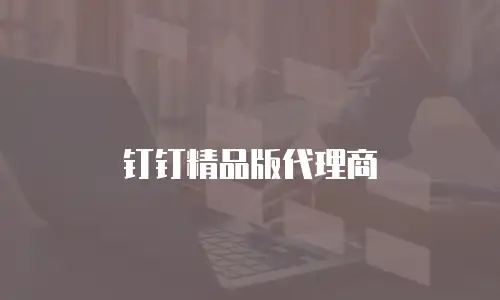 钉钉精品版代理商