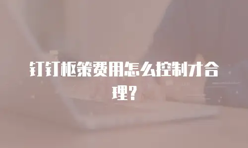钉钉枢策费用怎么控制才合理？