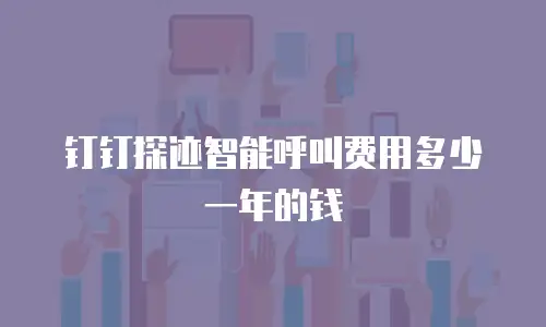 钉钉探迹智能呼叫费用多少一年的钱