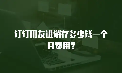 钉钉用友进销存多少钱一个月费用？