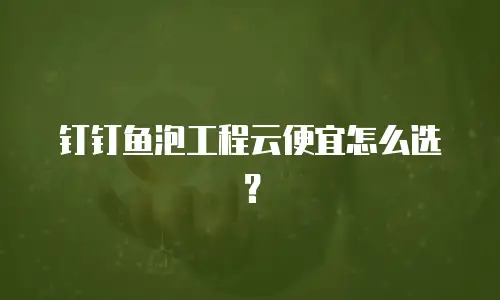 钉钉鱼泡工程云便宜怎么选？
