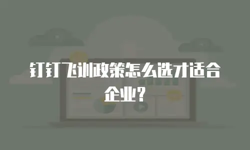钉钉飞训政策怎么选才适合企业？