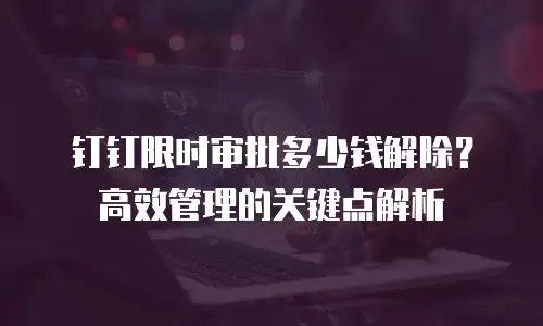 钉钉限时审批多少钱解除？高效管理的关键点解析