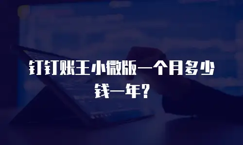 钉钉账王小微版一个月多少钱一年？