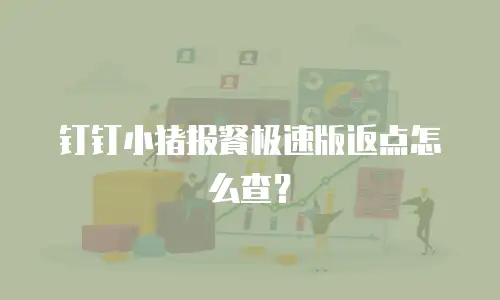 钉钉小猪报餐极速版返点怎么查？