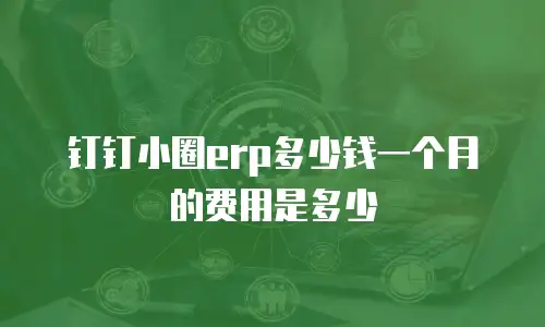 钉钉小圈erp多少钱一个月的费用是多少
