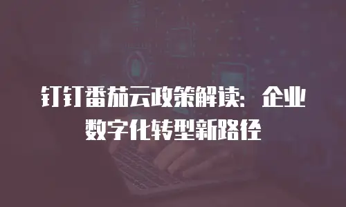 钉钉番茄云政策解读：企业数字化转型新路径