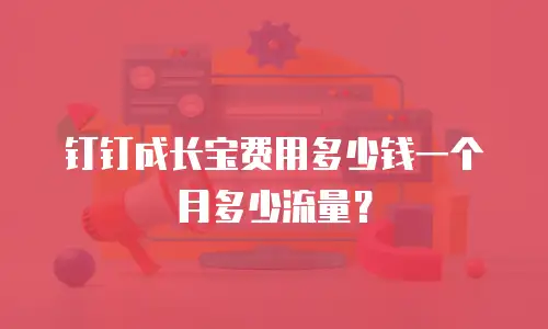 钉钉成长宝费用多少钱一个月多少流量？