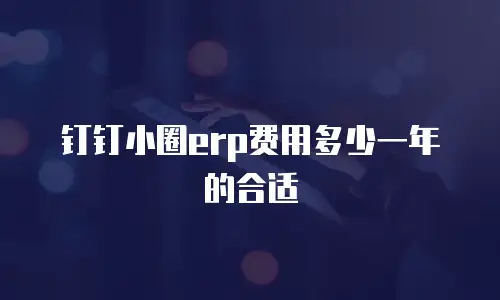 钉钉小圈erp费用多少一年的合适