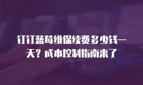 钉钉蓝莓维保续费多少钱一天？成本控制指南来了
