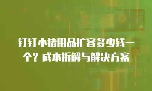 钉钉小猪用品扩容多少钱一个？成本拆解与解决方案