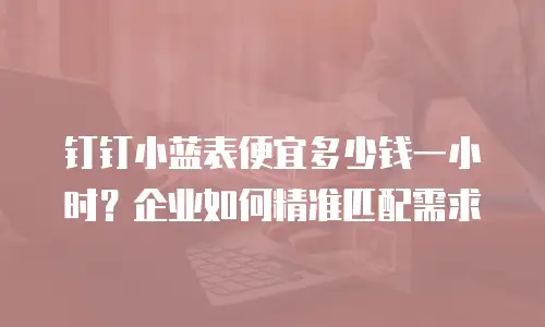 钉钉小蓝表便宜多少钱一小时？企业如何精准匹配需求