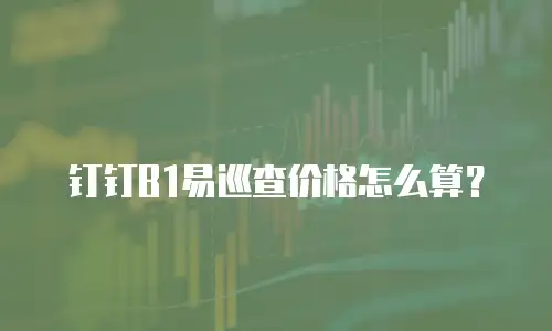 钉钉B1易巡查价格怎么算？