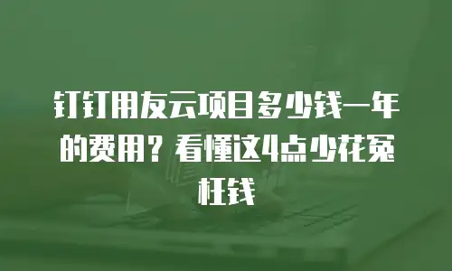 钉钉用友云项目多少钱一年的费用？看懂这4点少花冤枉钱