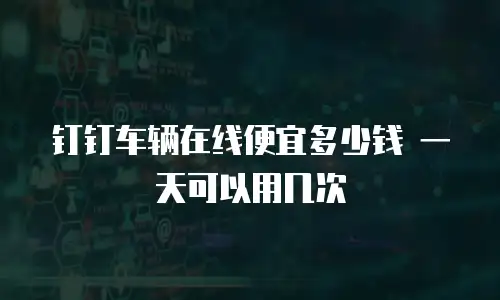 钉钉车辆在线便宜多少钱 一天可以用几次