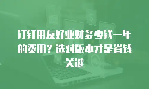 钉钉用友好业财多少钱一年的费用？选对版本才是省钱关键