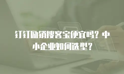 钉钉励销搜客宝便宜吗？中小企业如何选型？