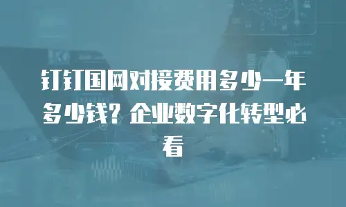 钉钉国网对接费用多少一年多少钱？企业数字化转型必看
