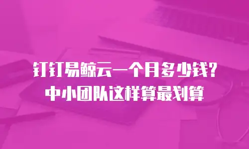 钉钉易鲸云一个月多少钱？中小团队这样算最划算