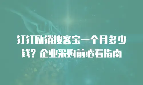 钉钉励销搜客宝一个月多少钱？企业采购前必看指南