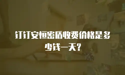 钉钉安恒密盾收费价格是多少钱一天？