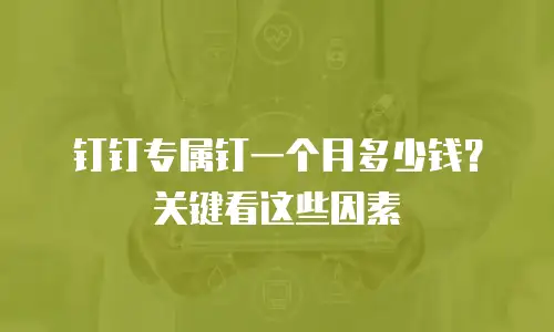 钉钉专属钉一个月多少钱？关键看这些因素