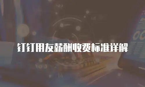 钉钉用友薪酬收费标准详解
