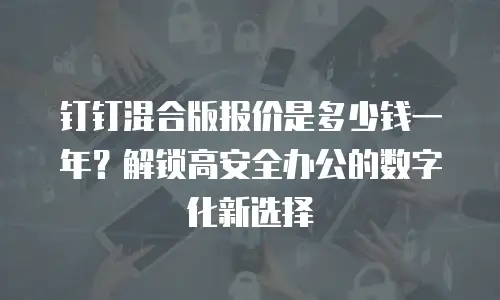 钉钉混合版报价是多少钱一年？解锁高安全办公的数字化新选择