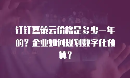 钉钉嘉策云价格是多少一年的？企业如何规划数字化预算？