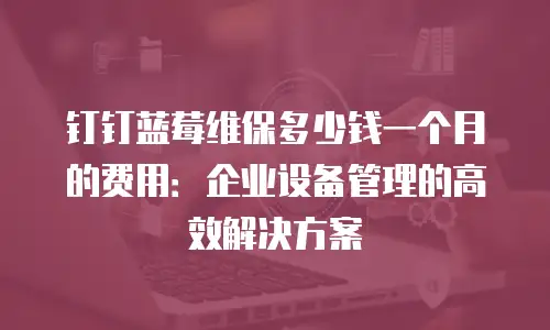 钉钉蓝莓维保多少钱一个月的费用：企业设备管理的高效解决方案