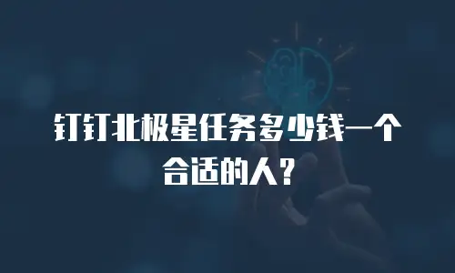 钉钉北极星任务多少钱一个合适的人？