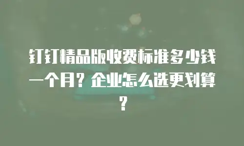 钉钉精品版收费标准多少钱一个月？企业怎么选更划算？
