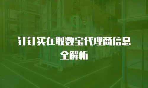 钉钉实在取数宝代理商信息全解析