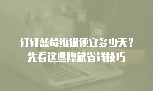 钉钉蓝莓维保便宜多少天？先看这些隐藏省钱技巧
