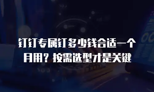 钉钉专属钉多少钱合适一个月用？按需选型才是关键