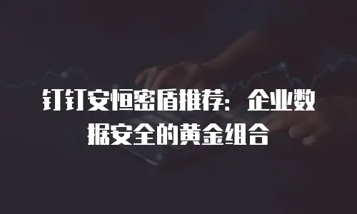钉钉安恒密盾推荐：企业数据安全的黄金组合